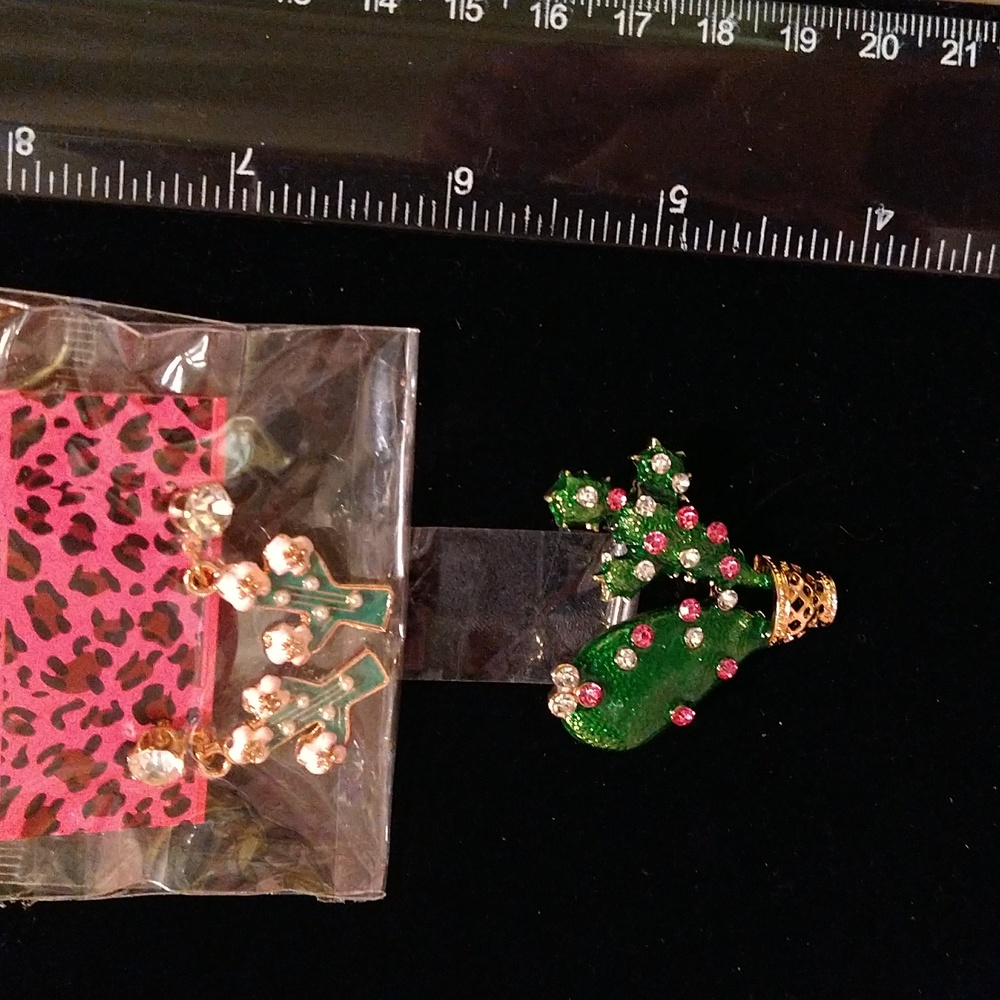 Cactus Broach with Cacti Earrings